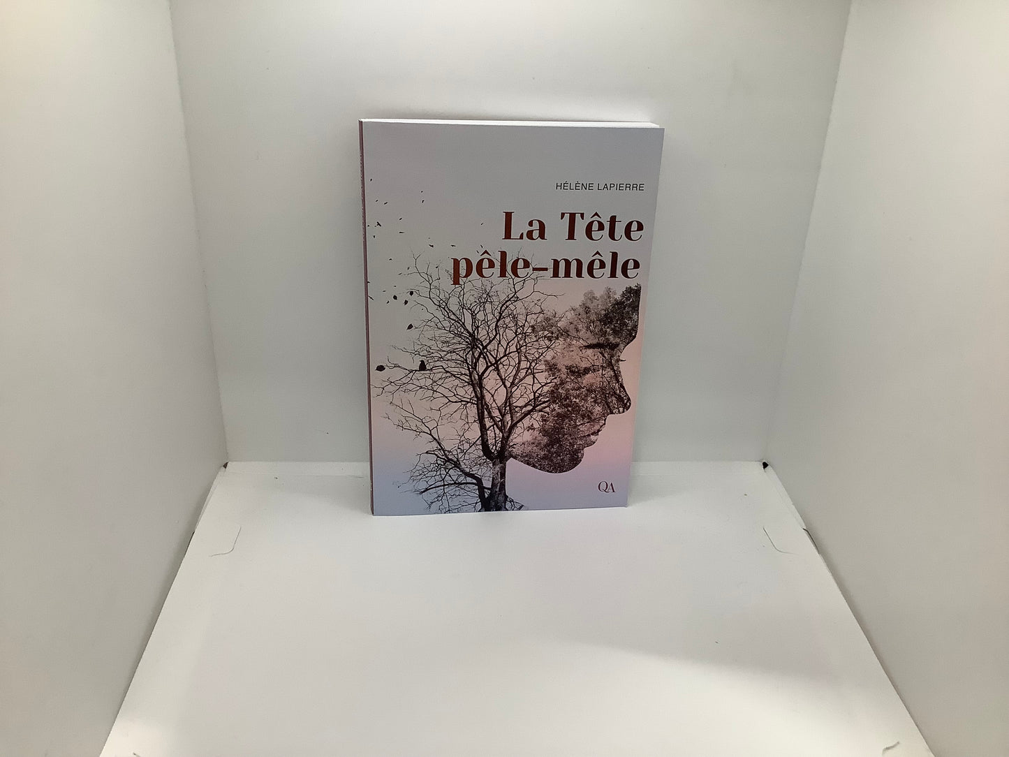 La tête pêle-mêle 2996