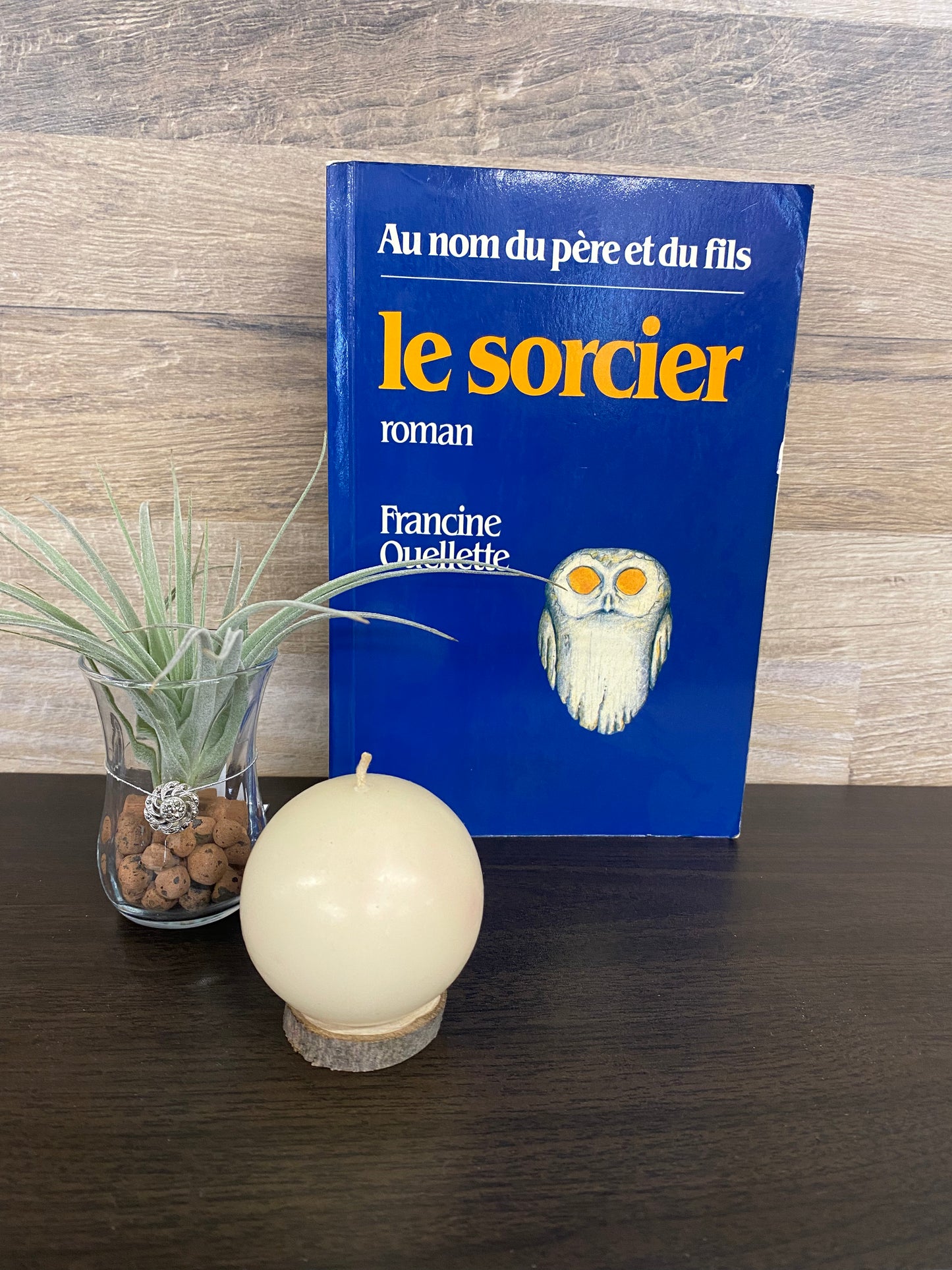 Le sorcier 1145