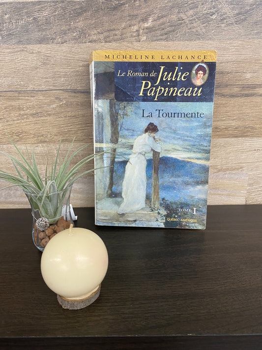 Le Roman de Julie Papineau 1168