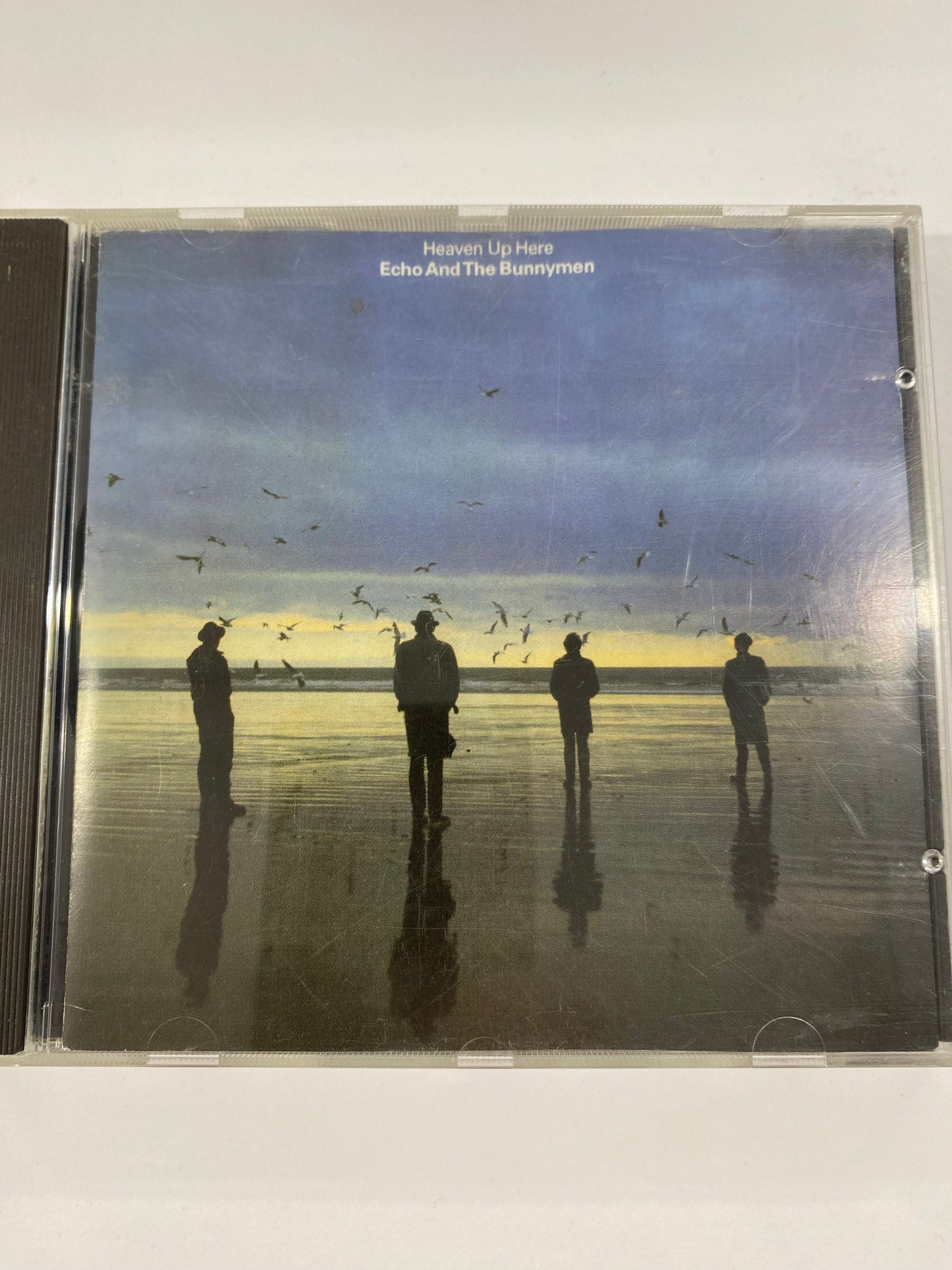 Echo And The Bunnymen 665