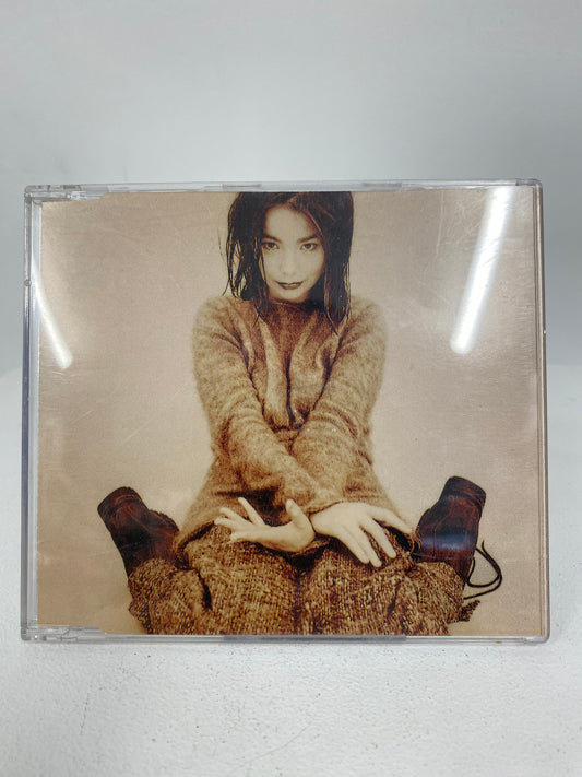 Björk 508