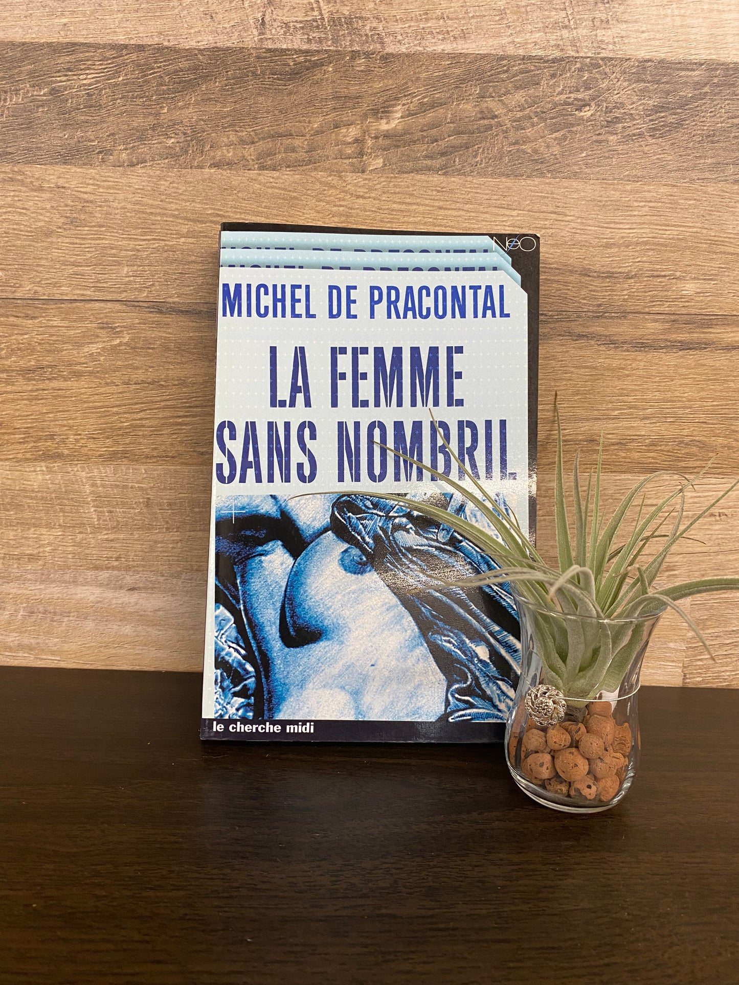 La femme sans nombril 1149