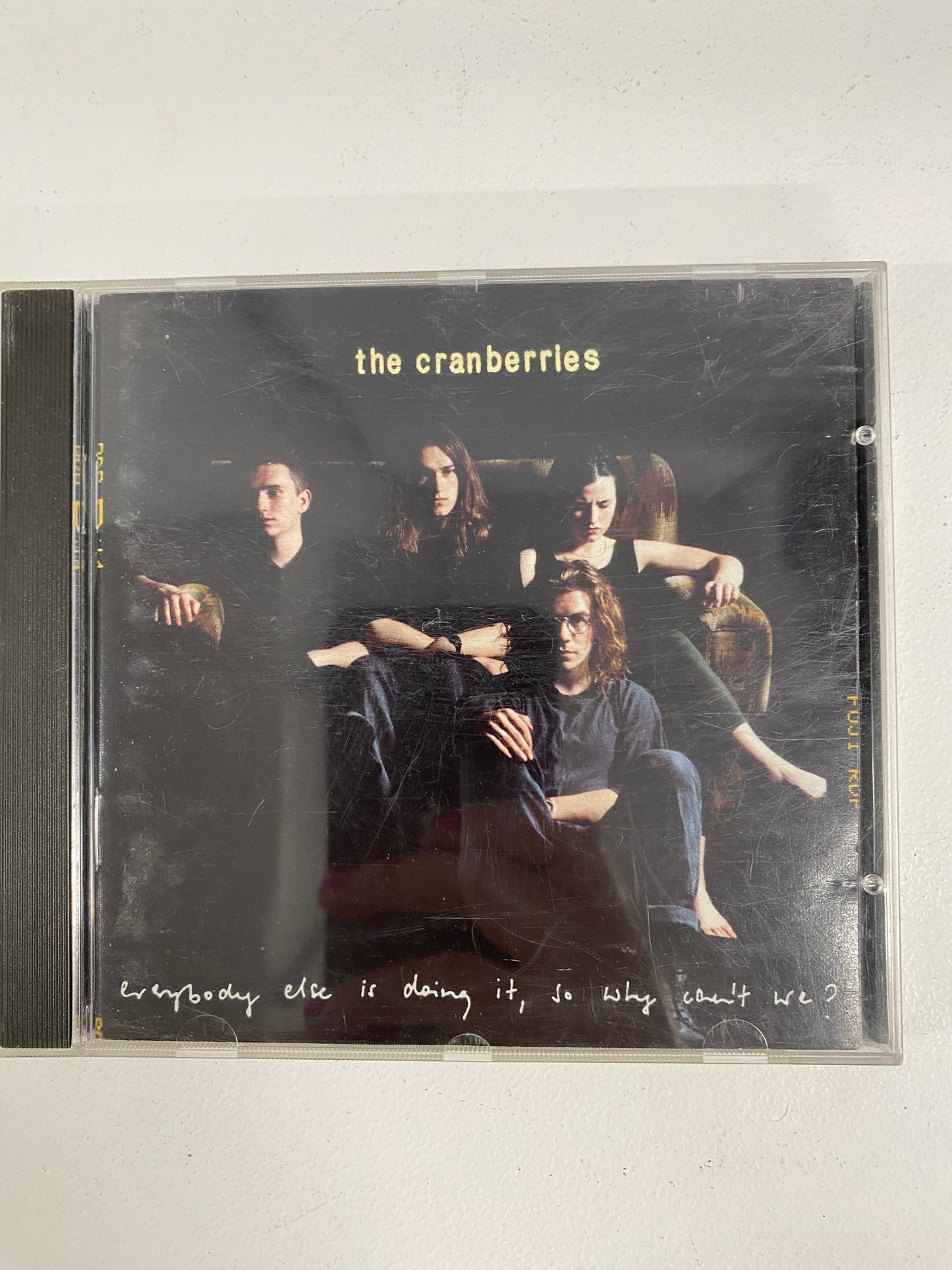 The Cranberries 313